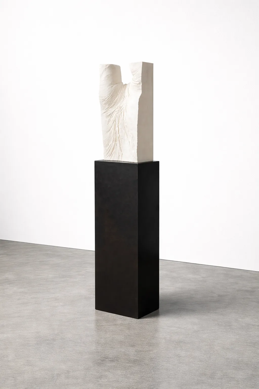 ECHO XI — TORSO
